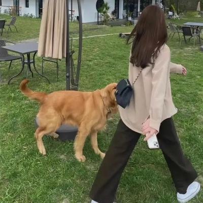 进阶的主母